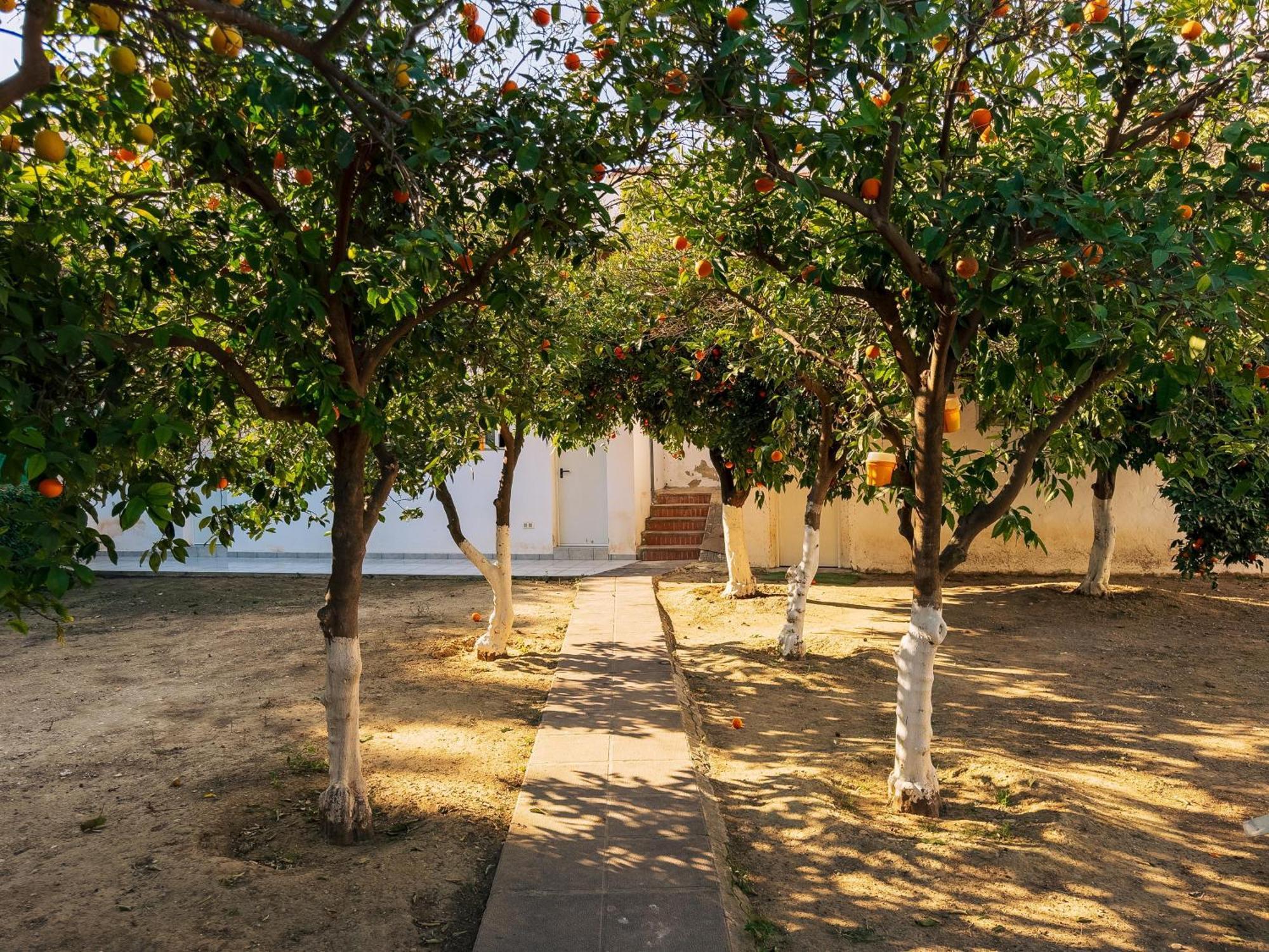 Charming Country House Torremolinos Extérieur photo