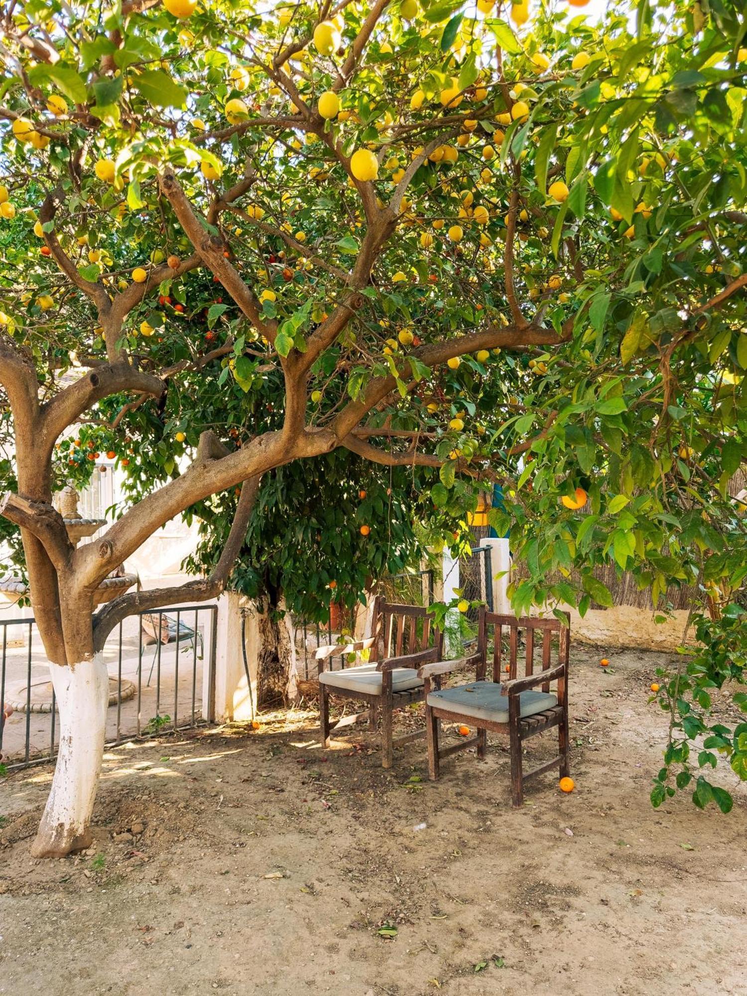 Charming Country House Torremolinos Extérieur photo